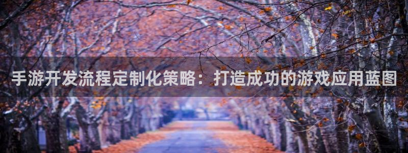 蓝图娱乐app苹果版：手游开发流程定制化策略：打造成功的游戏