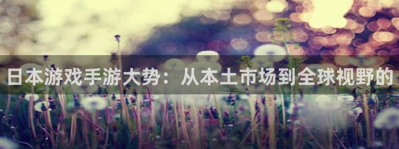 28大神怎么了：日本游戏手游大势：从本土市场到全球视野的
