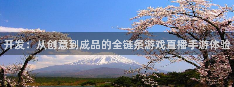 28大神官方网站手机版：开发：从创意到成品的全链条游戏直播手