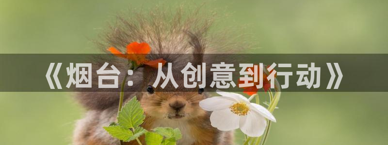 28大神加拿大：《烟台：从创意到行动》
