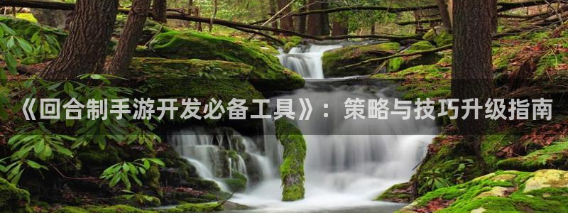 大神吧28预测：《回合制手游开发必备工具》：策略与技巧升级指