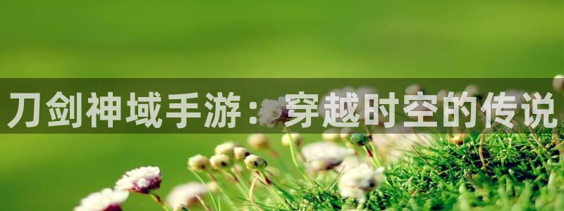 28大神下载：刀剑神域手游：穿越时空的传说