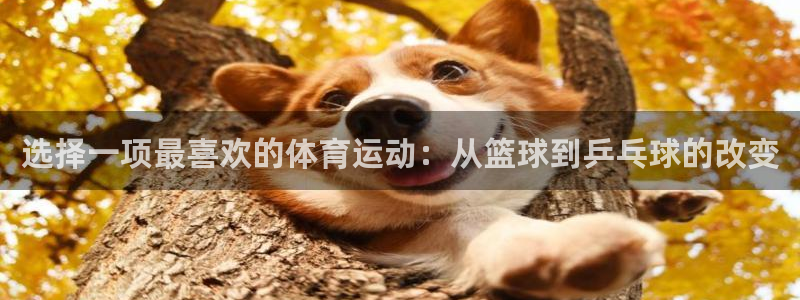 中欧体育最新地址