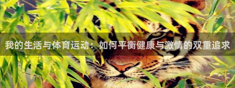 中欧体育ios：我的生活与体育运动：如何平衡健康与激情的双重追求