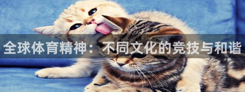 中欧体育在线：全球体育精神：不同文化的竞技与和谐