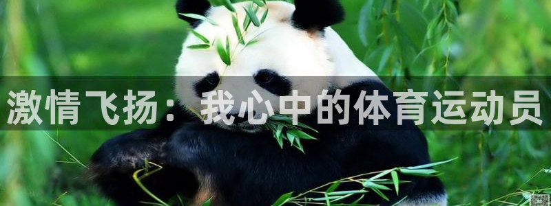 中欧体育：激情飞扬：我心中的体育运动员