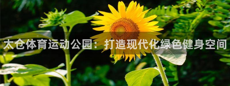 中欧体育全站app：太仓体育运动公园：打造现代化绿色健身空间