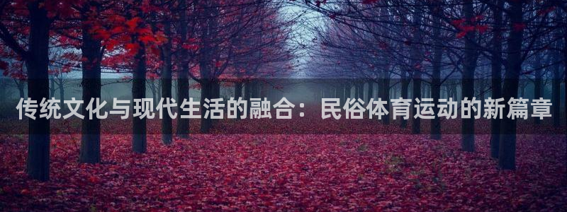 中欧体育网站：传统文化与现代生活的融合：民俗体育运动的新篇章
